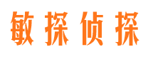 福海市侦探调查公司